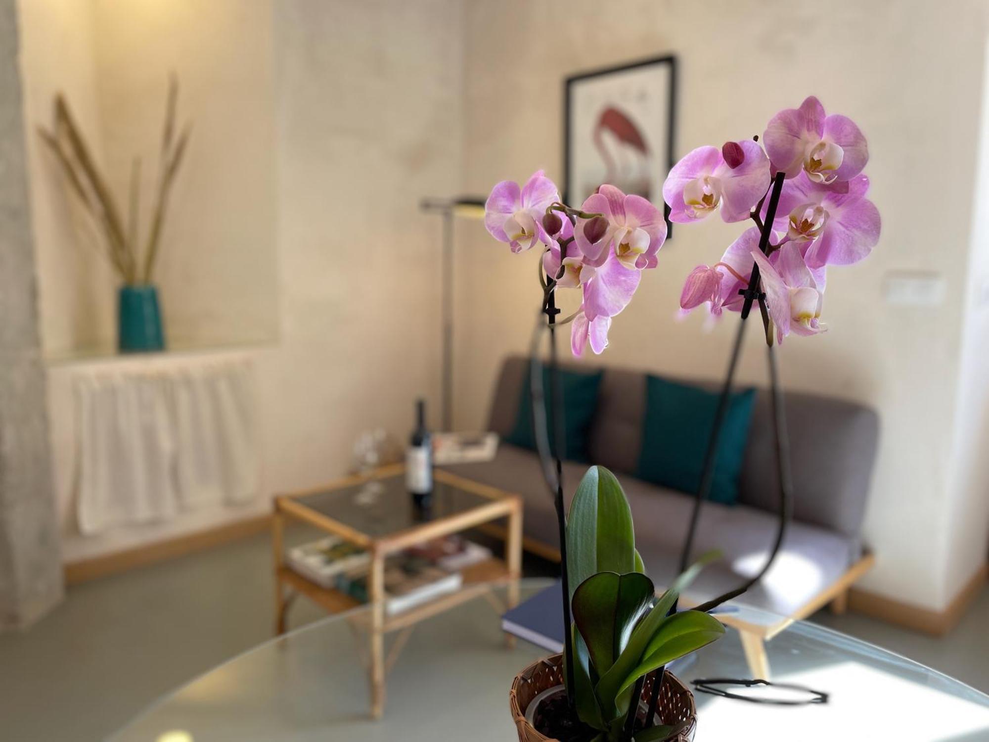 Smart Apartments Тарифа Экстерьер фото